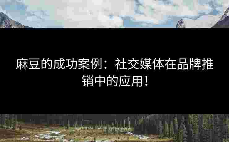 麻豆的成功案例：社交媒体在品牌推销中的应用！