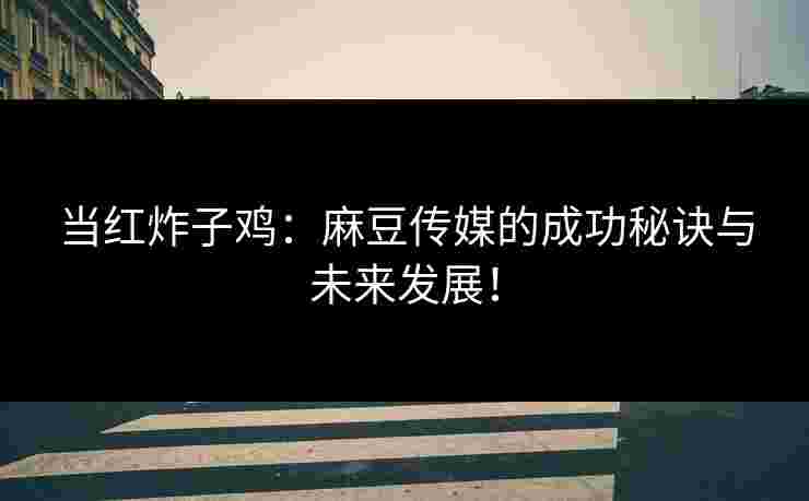 当红炸子鸡：麻豆传媒的成功秘诀与未来发展！