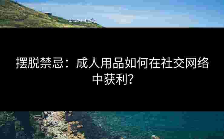 摆脱禁忌：成人用品如何在社交网络中获利？