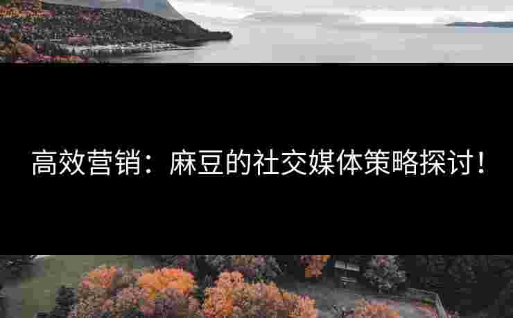 高效营销：麻豆的社交媒体策略探讨！