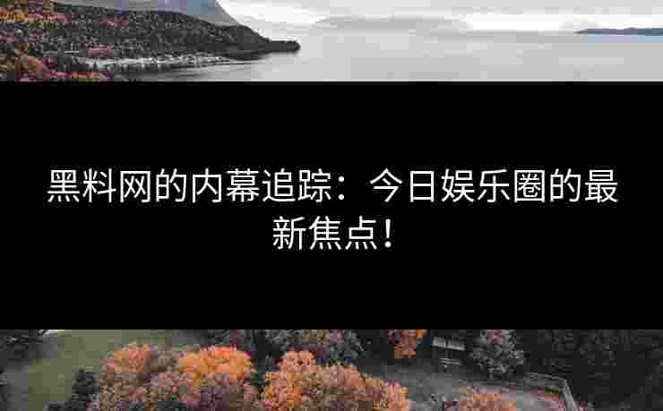 黑料网的内幕追踪：今日娱乐圈的最新焦点！